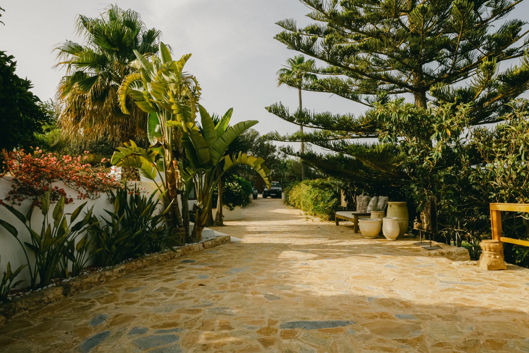Stone pathway through the gardens, lined with palms and bougainvillea